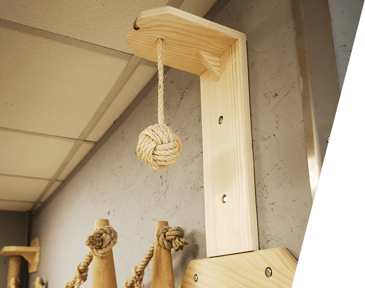 Griffoir Pour Chat Boules Accessoires De Jeu Et Parcours